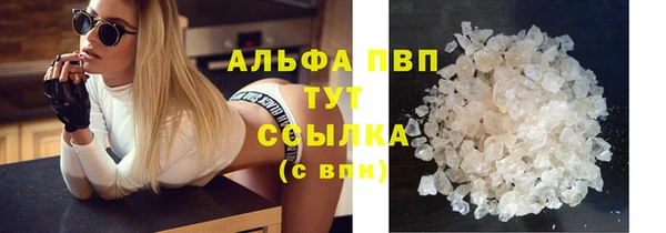 амф Алексин