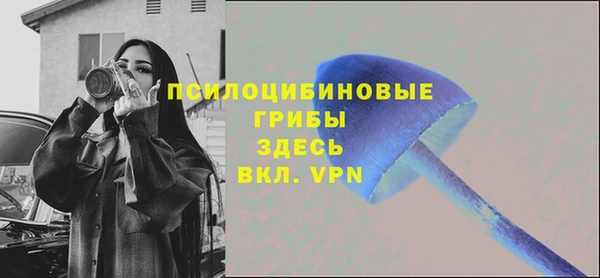 винт Алзамай