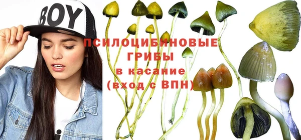 винт Алзамай