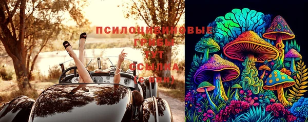 винт Алзамай