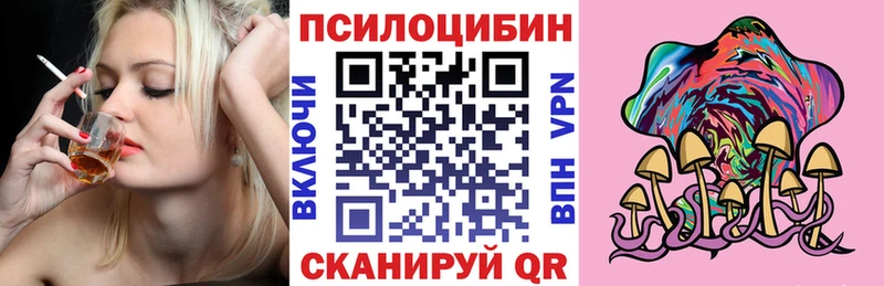 Галлюциногенные грибы Magic Shrooms  ОМГ ОМГ зеркало  Закаменск  цены  