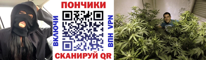 Конопля Bruce Banner Закаменск